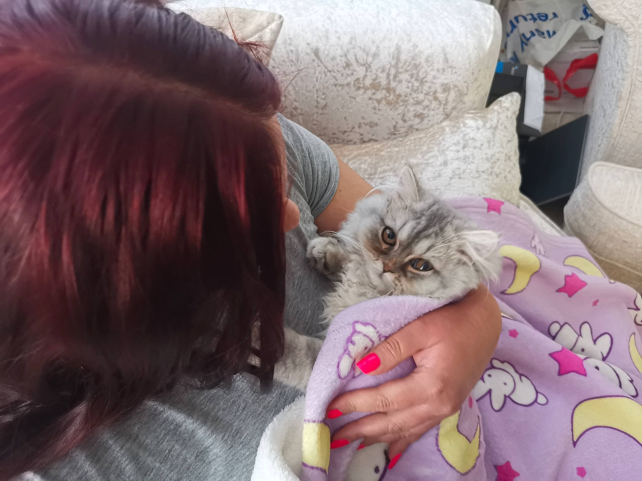 Keiko is registered to the contest to win money with this photo: asian, carnivore, cat, comfort, ear, felidae, friendship, fur, hair, human, interaction, kitten, long_hair, mouth, nap, norwegian_forest_cat, skin, sleep, small_to_medium_sized_cats, whiskers