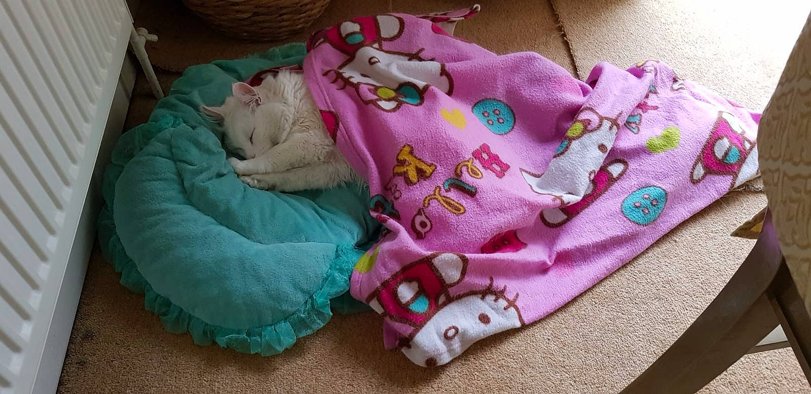 Yume joined the competition — help win amazing prizes! child, linens, pink, textile