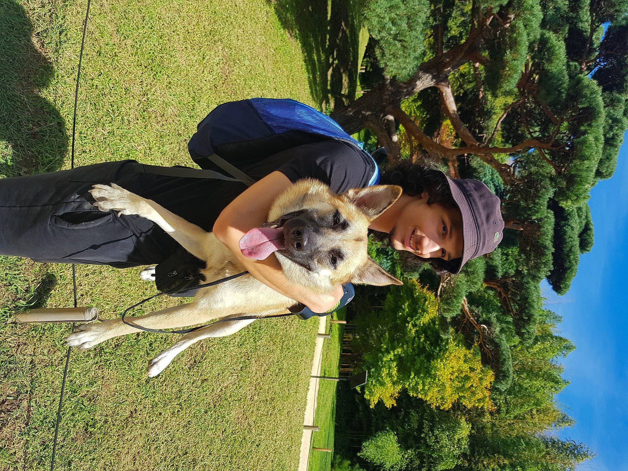 Suki a rejoint le concours — aidez-le/la à gagner de superbes lots ! canidae, carnivore, companion_dog, conifer, dog, dog_breed, evergreen, fawn, fun, grass, happy, leisure, people_in_nature, plant, shrub, sky, sporting_group, summer, sunglasses, tree