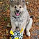 Balto