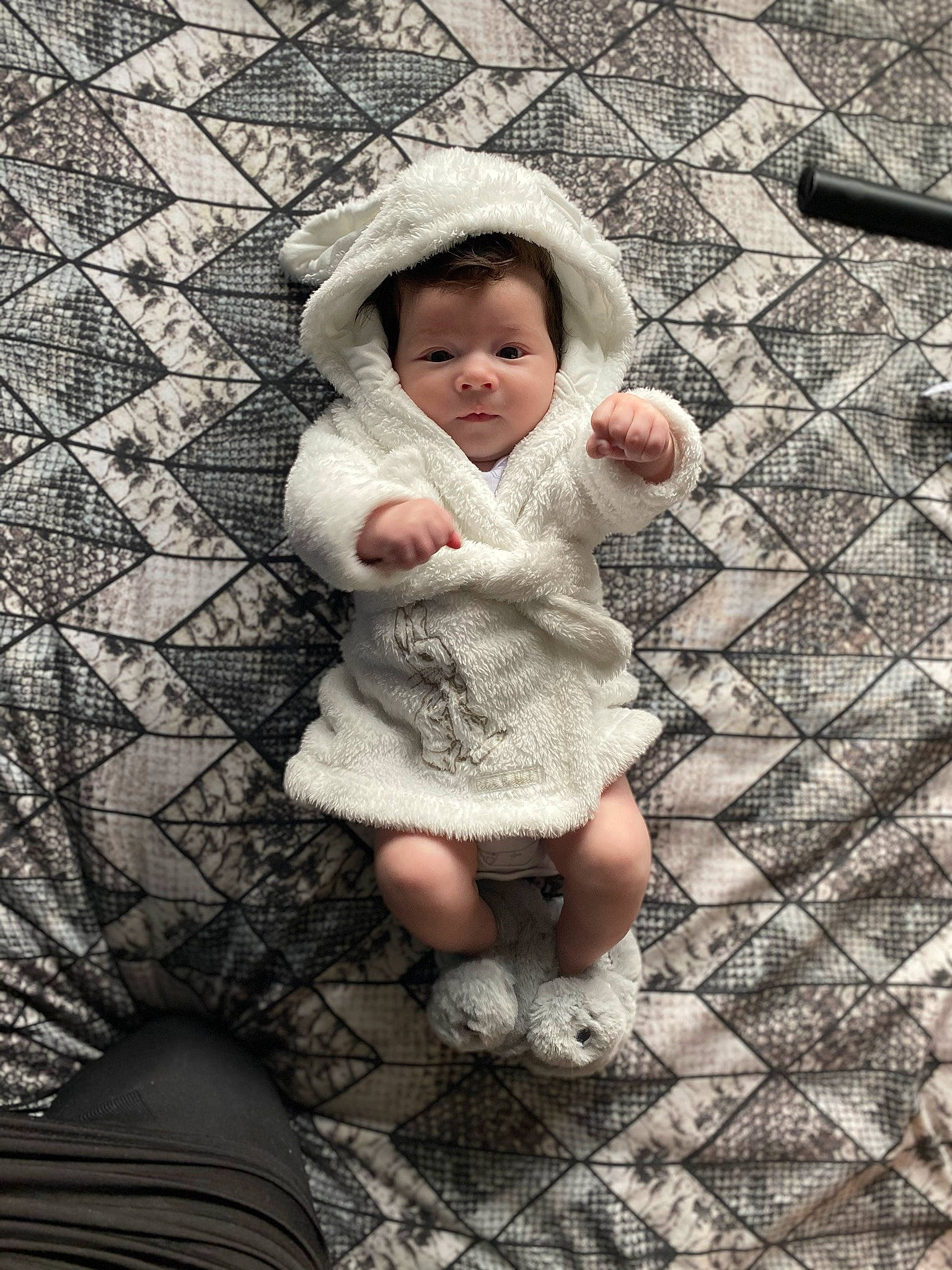 Loki joined the competition — help win amazing prizes! baby, child, person, smile, toddler