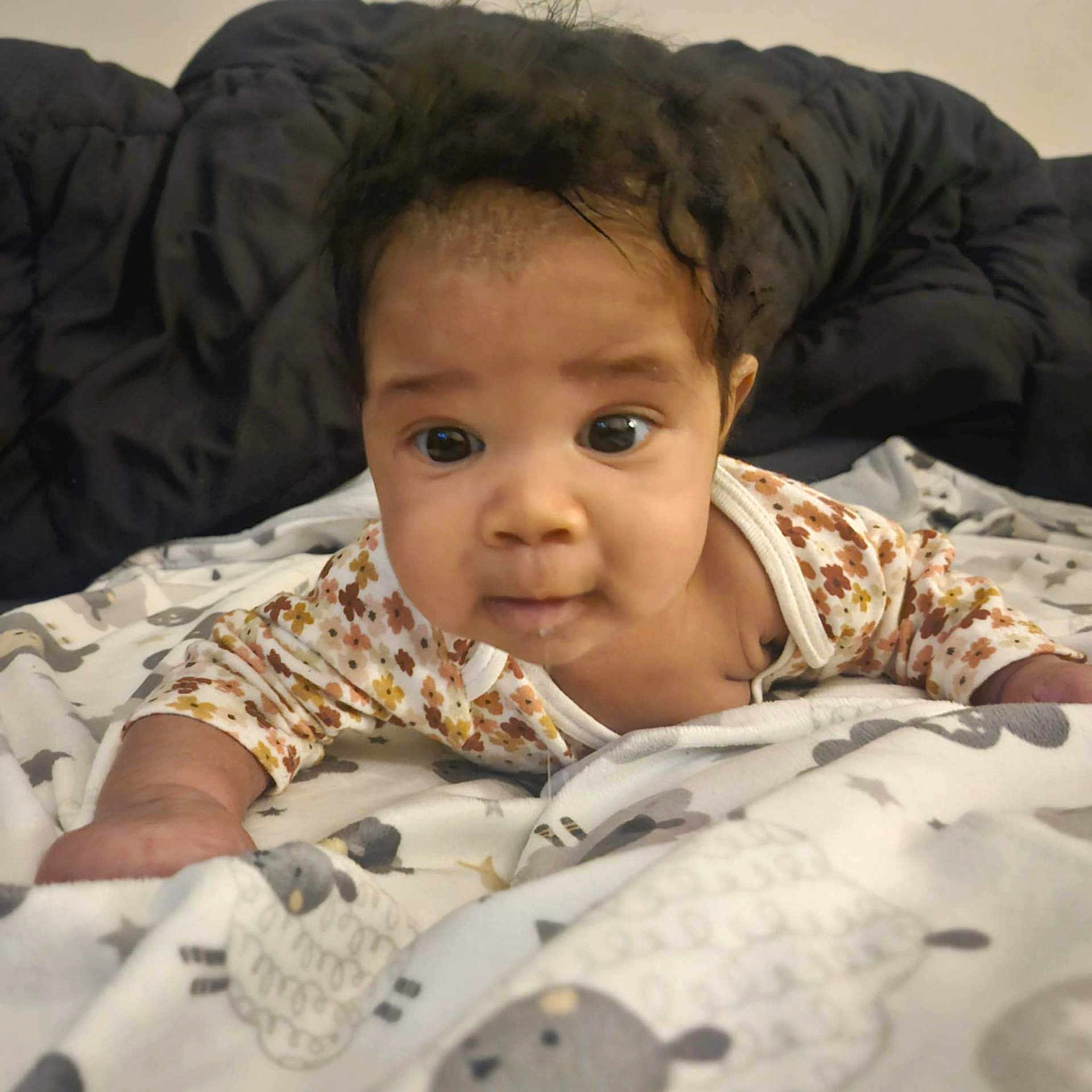 Meadow is registered to the contest to win money with this photo: baby, babycrawling, babylaughing, bed, bedroom, blackhair, blanket, crawling, face, furniture, hair, happy, head, indoors, person, photography, portrait, quilt, room, smile