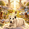 animal, cloud, cute, dog, flower, garden, gate, grass, halo, heaven, nature, outdoor, paradise, park, peaceful, rainbow, sky, sunlight, tree, waterfall