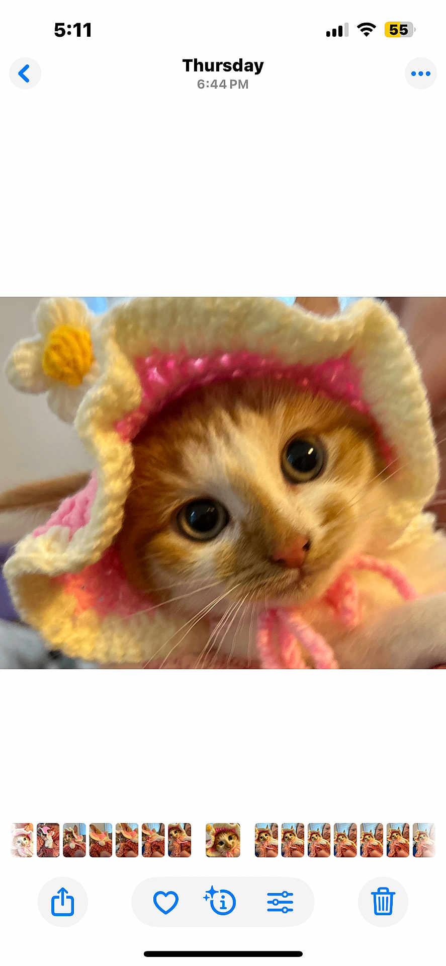 Peanut