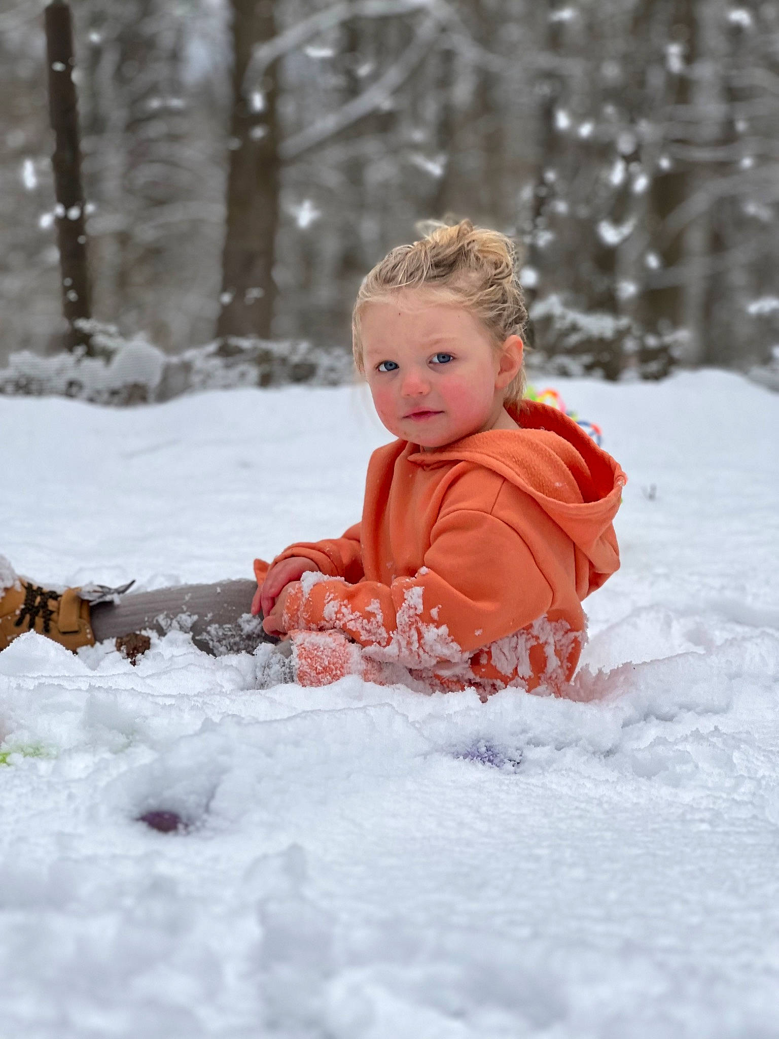 Adeline is registered to the contest to win money with this photo: baby, baby_toddler_clothing, cheek, child, eye, face, freezing, fun, grass, happy, jacket, leisure, people_in_nature, person, recreation, sitting, snow, toddler, tree, winter