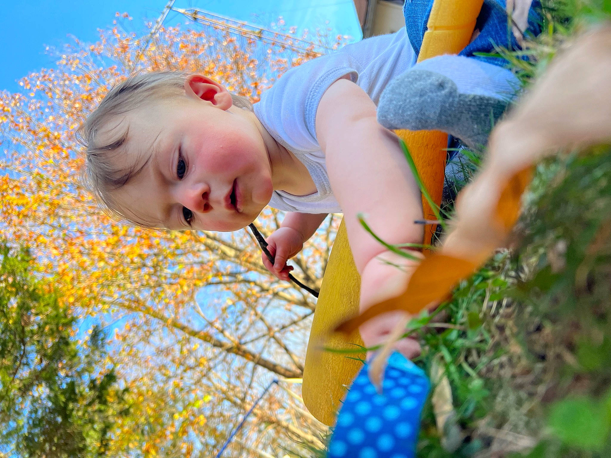 Karter joined the competition — help win amazing prizes! autumn, baby, blue, child, electric_blue, fun, grass, grassland, happy, leisure, pattern, people_in_nature, person, plant, portrait_photography, sitting, sky, summer, sunlight, toddler