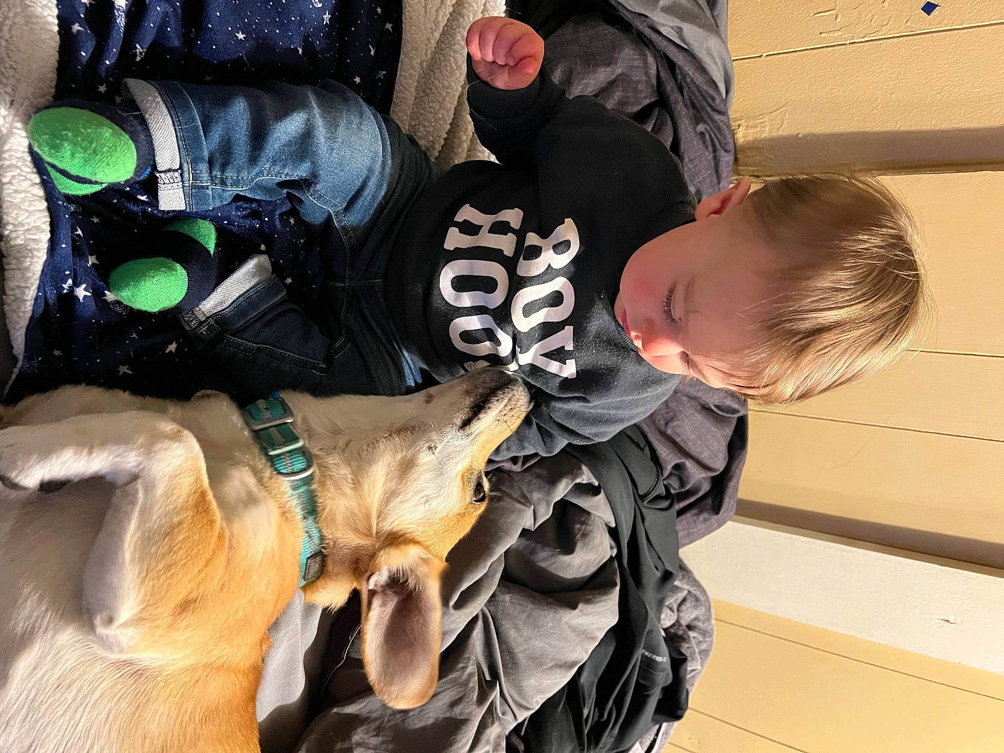 Karter joined the competition — help win amazing prizes! dog_breed, fun, fur, hat, person, personal_protective_equipment, sun_hat, toddler, working_animal