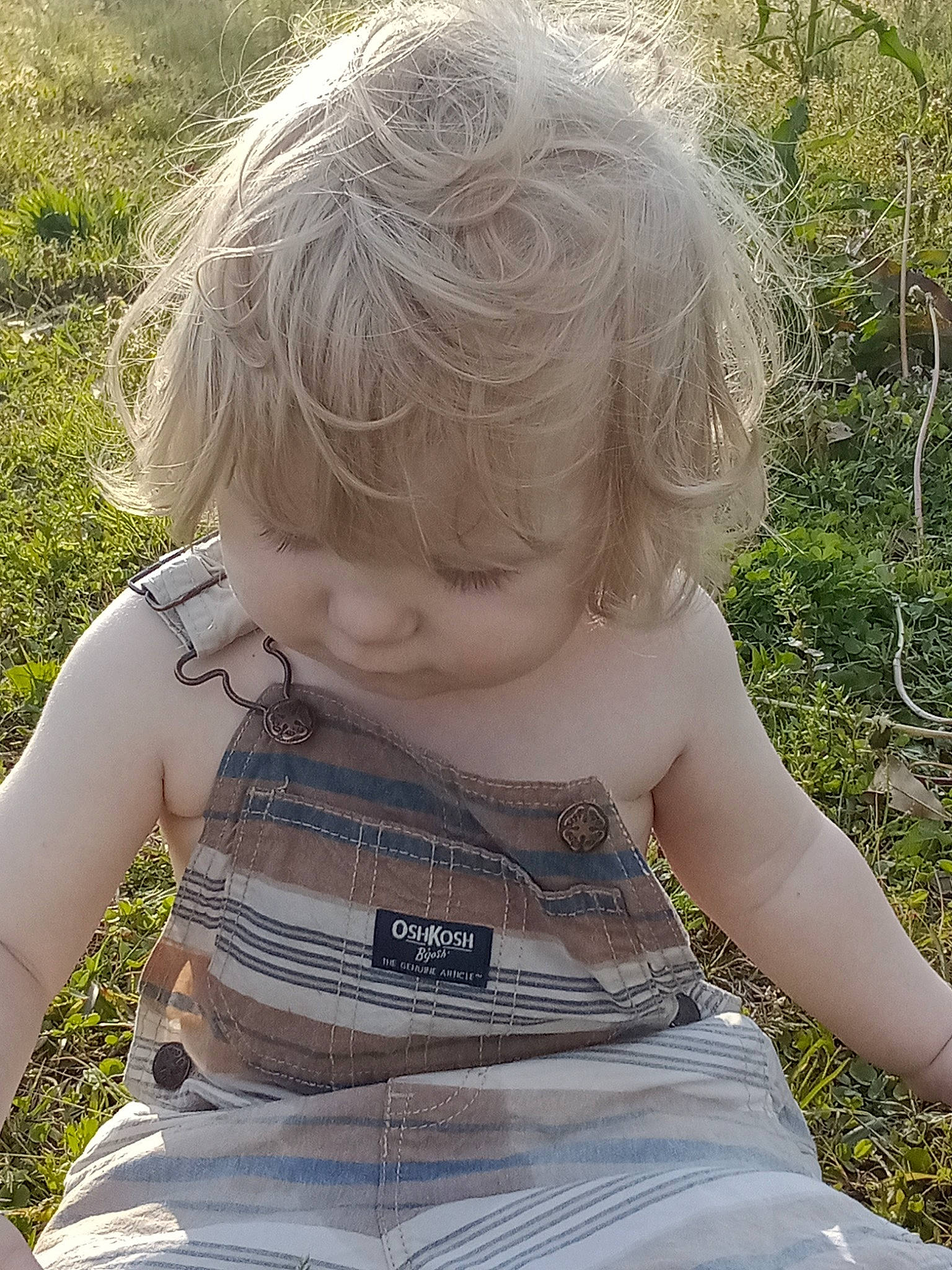 Christen Hayes joined the competition — help win amazing prizes! baby, baby_toddler_clothing, blond, cheek, chest, child, eye, grass, grassland, hand, happy, head, iris, light, pattern, people_in_nature, person, plant, sitting, skin
