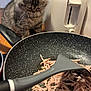 Fifille a rejoint le concours — aidez-le/la à gagner de superbes lots ! kitten, cat, tabby, frying_pan, ham, spatula, toaster, kitchen, countertop, cooking, food, pet, curious, furry, indoor, closeup, household, appliance, wood, tile