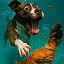 dog, chicken, underwater, fish, bubbles, animal, water, swimming, action, motion, tongue, eyes, feathers, paw, beak, wildlife, closeup, aquatic, playful, nature