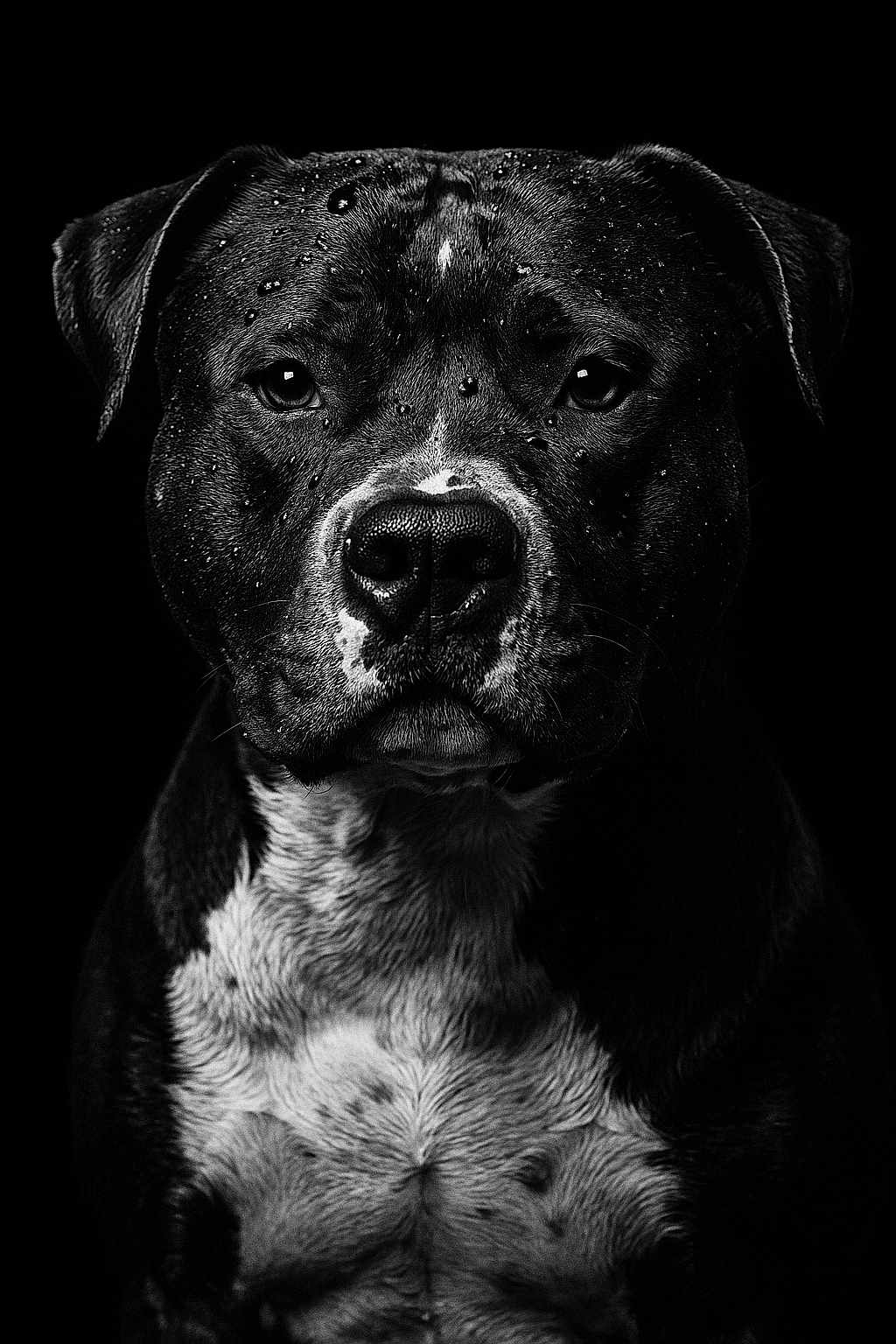 Roky