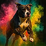 dog, running, jumping, color_powder, action, outdoor, grass, energetic, dynamic, vibrant_colors, animal, pet, muscular, focused, motion, explosion, colorful, black_background, active, athletic