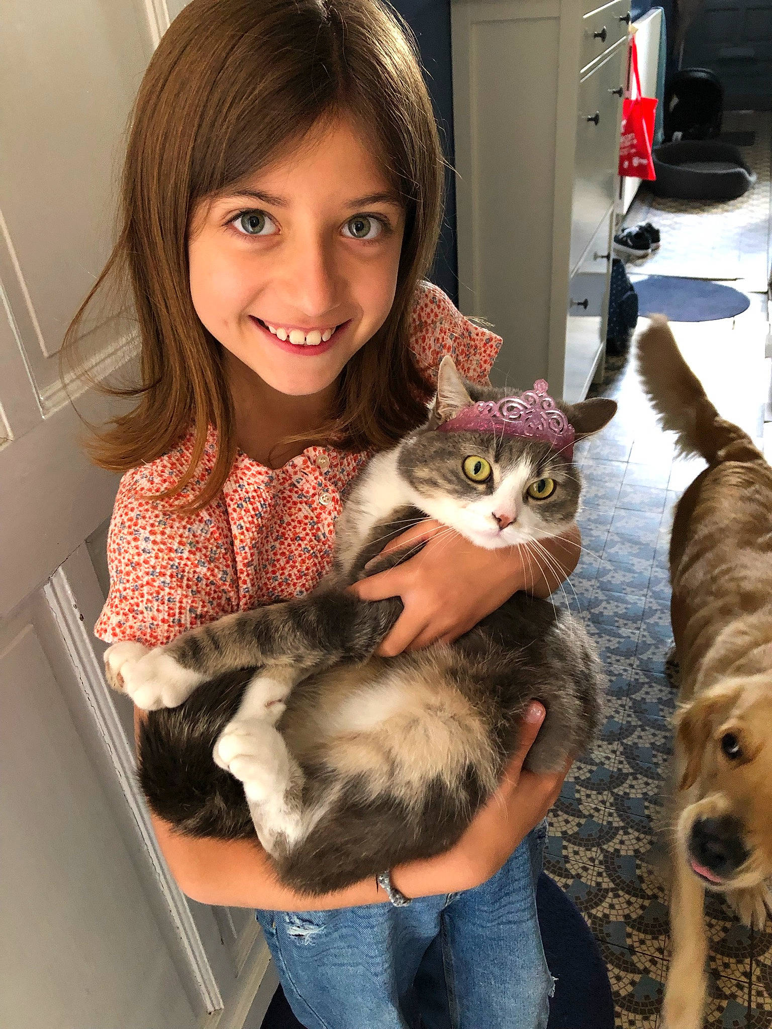 Julia participe au concours pour gagner de l'argent avec cette photo : carnivore, cat, companion_dog, ear, eyelash, fawn, felidae, fun, fur, happy, joy, lap, leg, long_hair, organ, person, skin, small_to_medium_sized_cats, smile, textile