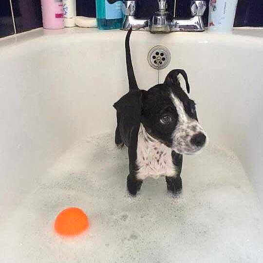 Macca is registered to the contest to win money with this photo: