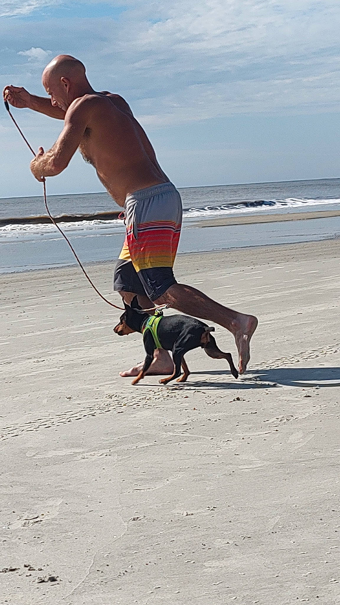 Dobie joined the competition — help win amazing prizes! barechested, beach, bermuda_shorts, board_short, carnivore, cloud, dog, dog_breed, elbow, fun, knee, leisure, ocean, recreation, shorts, sky, travel, trunks, water, working_animal