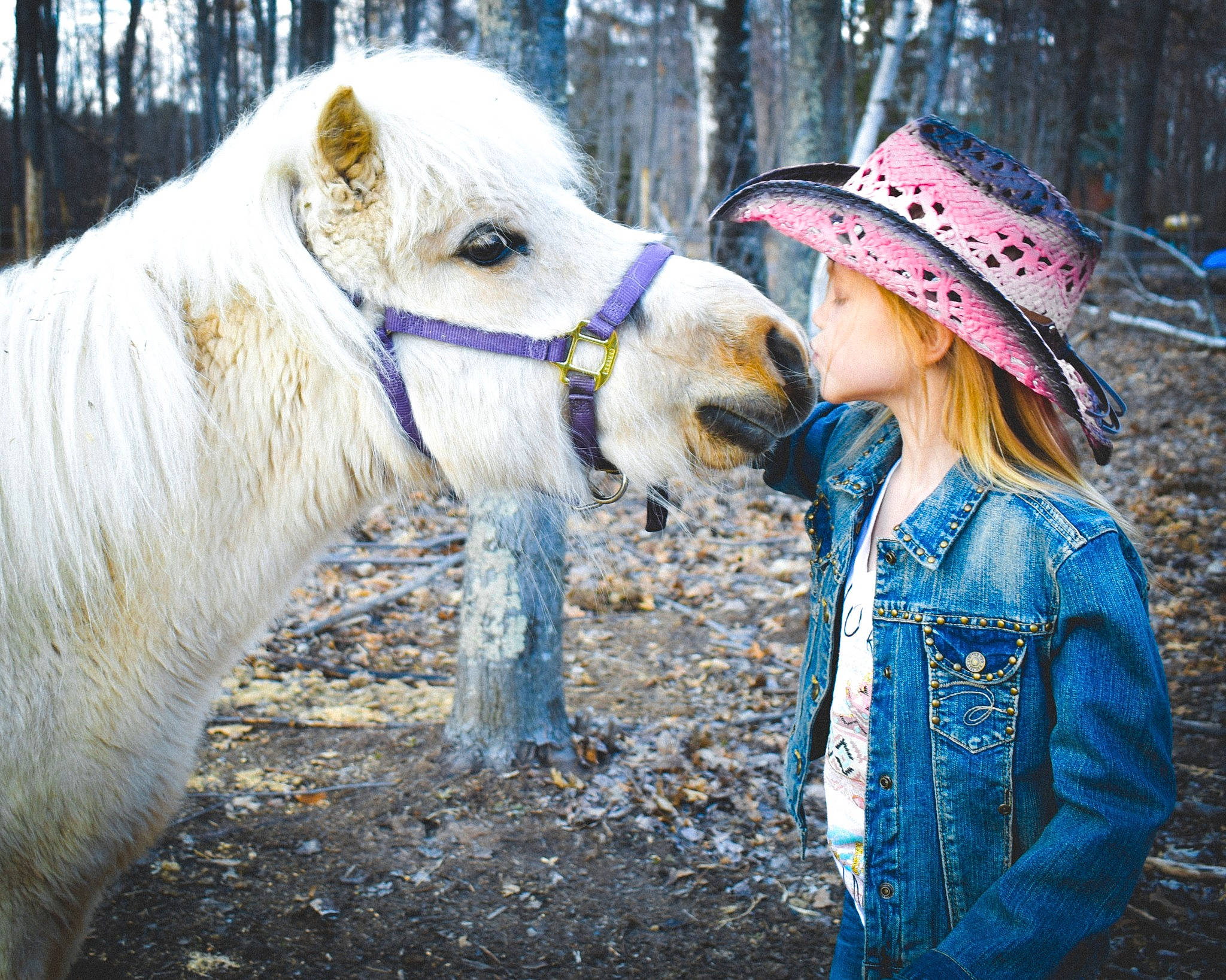 Mallory is registered to the contest to win money with this photo: bridle, halter, horse, horse_tack, livestock, mammal, mane, pack_animal, person, pony, shetland_pony, smile, snout, vertebrate, winter, working_animal