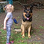 Apollo joined the competition — help win amazing prizes! animal, casual_clothing, child, child_holding_leash, dog, forest, german_shepherd, grass, happy, leash, nature, outdoor, pet, pink_bows, playful, shoes, smiling_dog, trees, woodland, young_girl