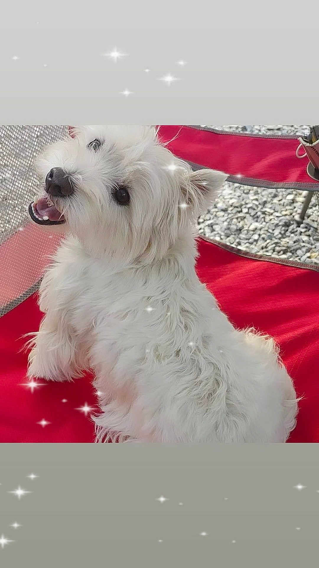 Charlie