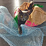 Boubou a rejoint le concours — aidez-le/la à gagner de superbes lots ! cat, gray_cat, bubble_wrap, burlap_bag, floor, tile_floor, sunlight, shadow, pet, animal, curious, paw, yellow_eyes, indoor, playful, texture, fabric, bag, closeup, domestic_cat