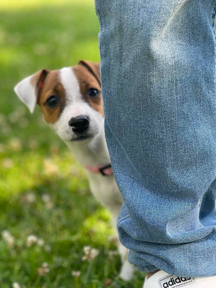 Up Du Chateau De L'Arpenteur