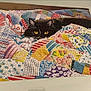 Salem is registered to the contest to win money with this photo: animal_art, artwork, assembled, black_cat, cat, colorful, completed_puzzle, craft, ears, fabric, flat_surface, fur, indoor, patchwork_quilt, pattern, puzzle, quilting, table, whiskers, yellow_eyes