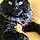 Salem