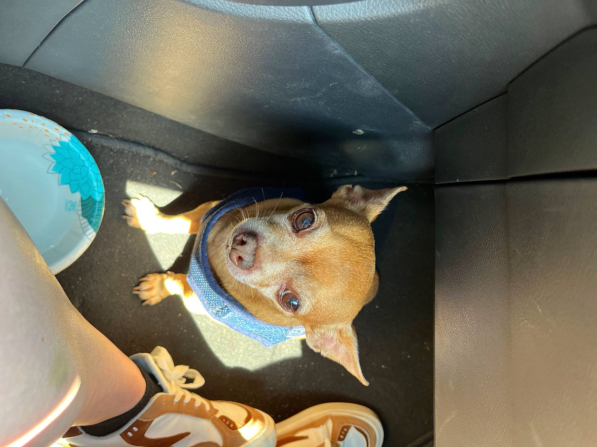 Chico is registered to the contest to win money with this photo: auto_part, automotive_design, automotive_exterior, automotive_lighting, automotive_wheel_system, automotive_window_part, bumper, car, car_seat, electric_blue, family_car, fun, hood, luxury_vehicle, motor_vehicle, personal_luxury_car, trunk, vehicle, vehicle_door, windshield