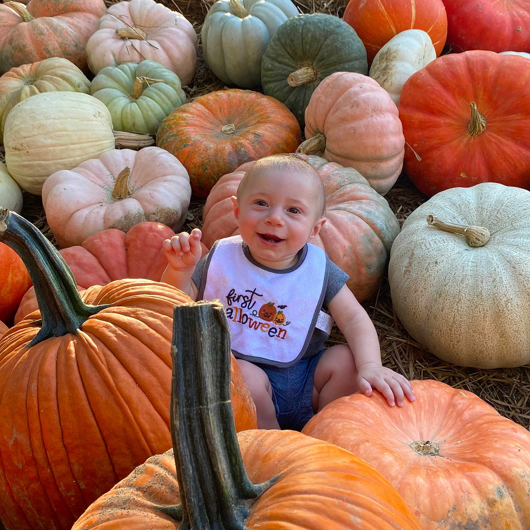 Owen is registered to the contest to win money with this photo: baby, countryside, face, farm, food, harvest, head, herbal, nature, outdoors, person, photography, plant, portrait, produce, pumpkin, rural, soil, squash, vegetable