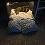 animal, blanket, cardboard_box, carpet, cat, comfort, cozy, cushion, dark, feline, home, indoor, pet, quiet, relaxing, resting, sleepy, snug, soft_lighting, warm
