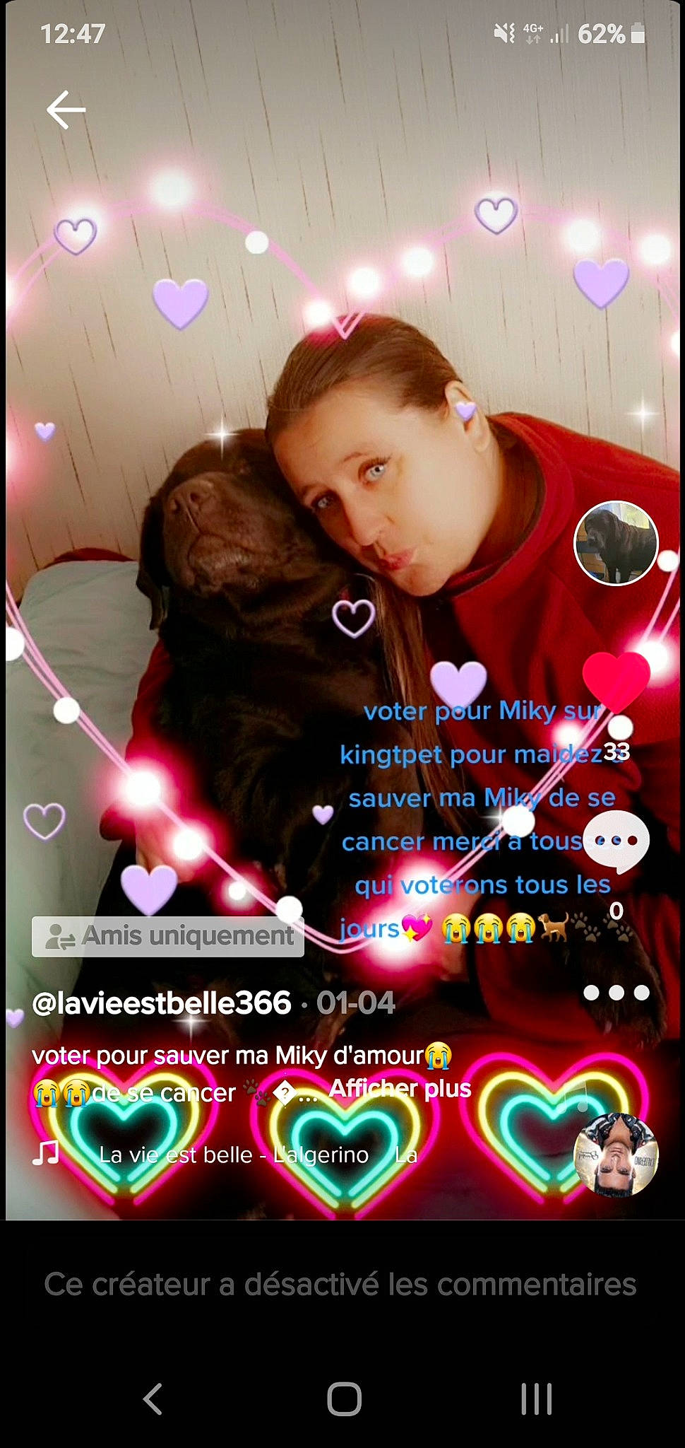 Miky participe au concours pour gagner de l'argent avec cette photo : advertising, book_cover, companion_dog, design, flash_photography, font, fur, graphic_design, graphics, happy, light, magenta, movie, photo_caption, poster, red, romance