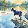 Dutchess is registered to the contest to win money with this photo: dog, watercolor_painting, lake, rock, reflection, trees, sunset, sky, water, nature, outdoors, standing, collar, shadow, silhouette, landscape, illustration, peaceful, artistic, shore