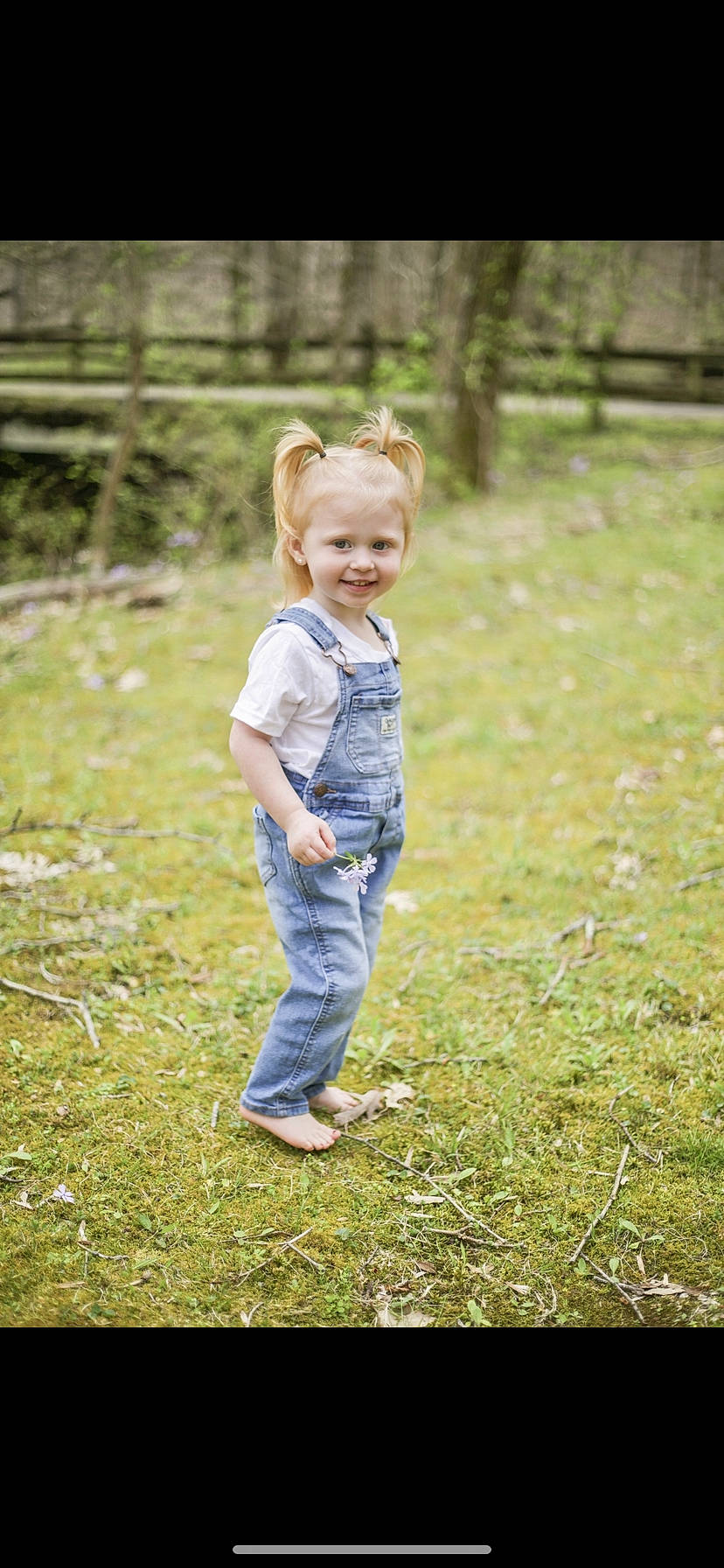 Addison is registered to the contest to win money with this photo: baby_toddler_clothing, child, denim, forest, grass, grassland, happy, jeans, joy, landscape, meadow, natural_environment, natural_landscape, people_in_nature, person, plant, prairie, smile, sunlight, toddler