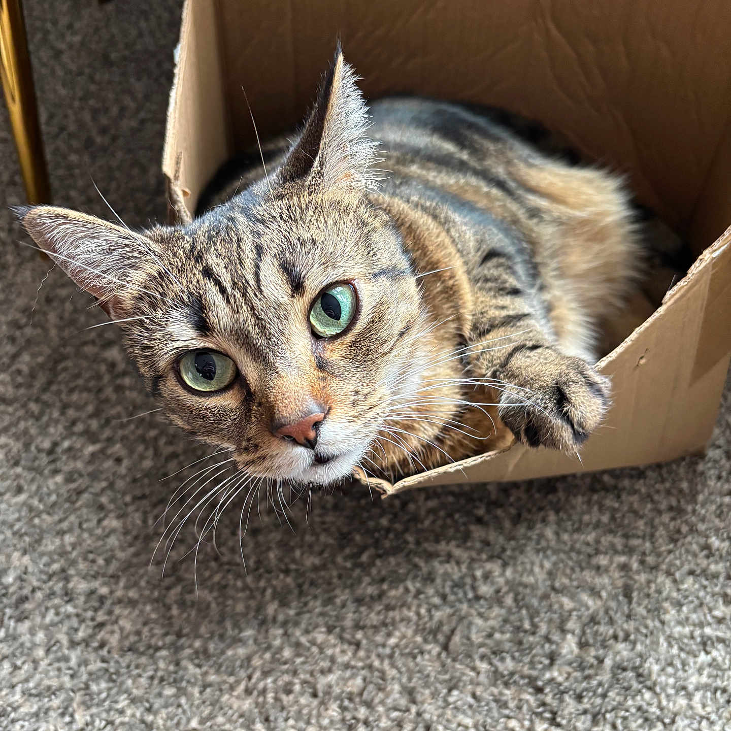 Ruby