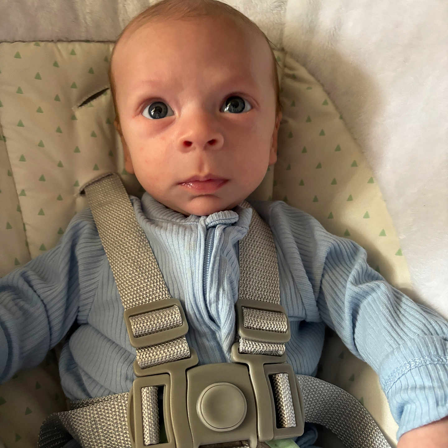 Vincent joined the competition — help win amazing prizes! accessories, baby, belt, bodypart, clothing, couch, cushion, face, finger, furniture, hand, head, homedecor, knitwear, pants, person, photography, portrait, strap, sweater