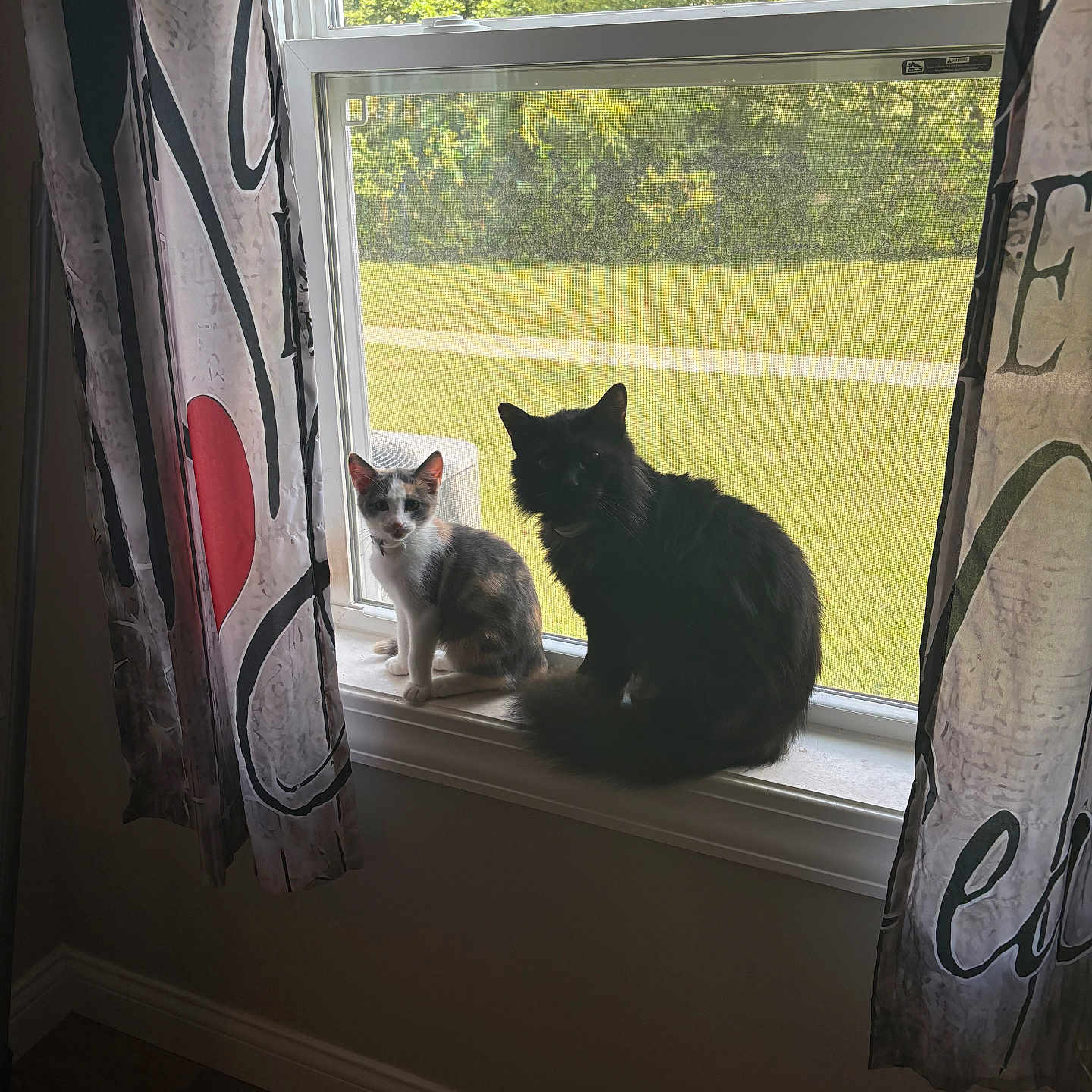 Smitty And Bellatrix