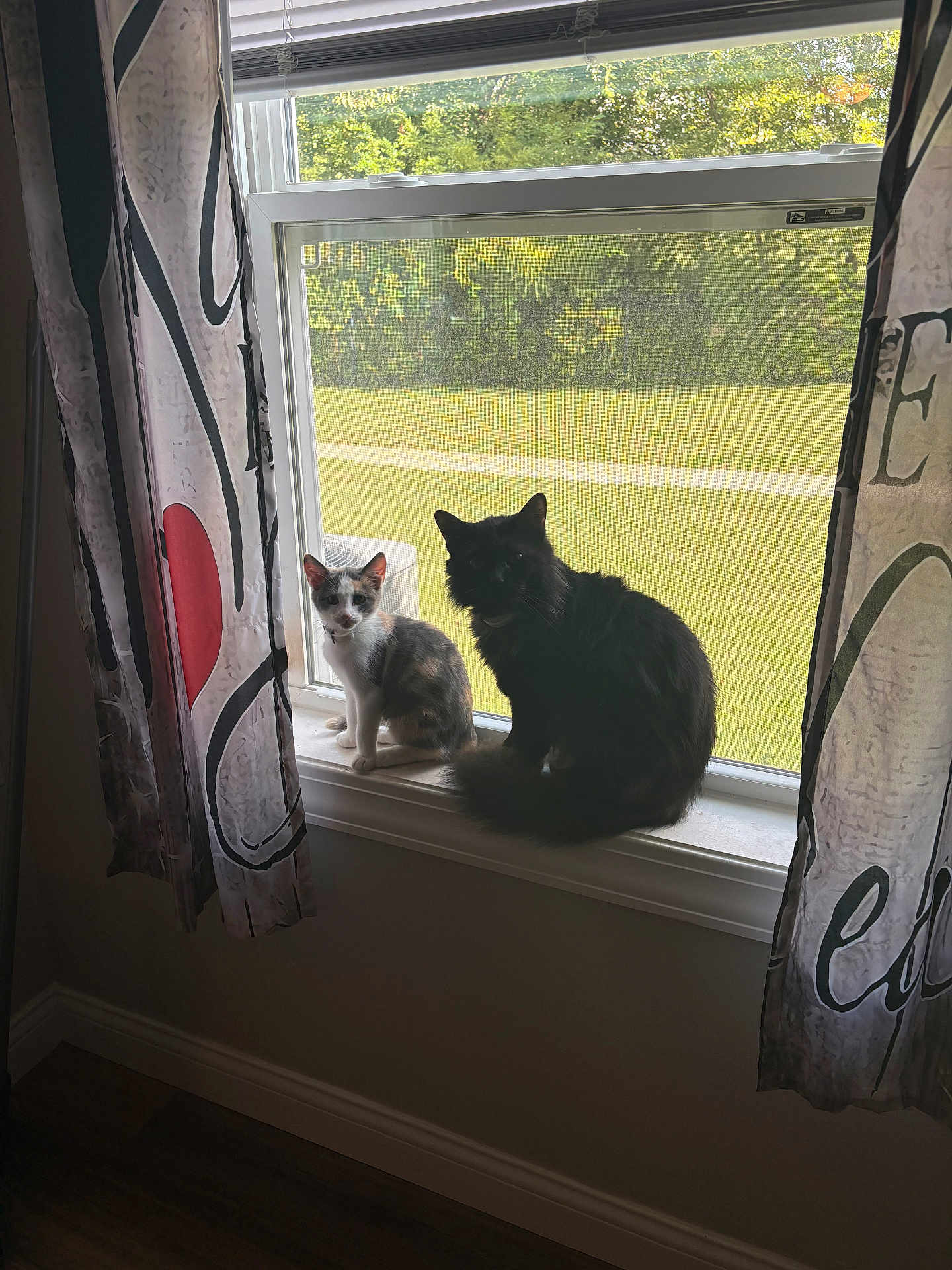 Smitty And Bellatrix