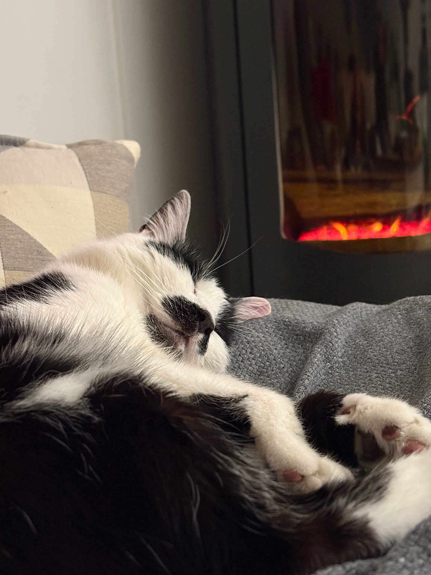 Gribouille participe au concours pour gagner de l'argent avec cette photo : cat, sleeping_cat, black_and_white, paw, whiskers, cozy, fireplace, blanket, cushion, indoor, close_up, fur, pet, nap, domestic_animal, relaxed, ear, sofa, home, portrait