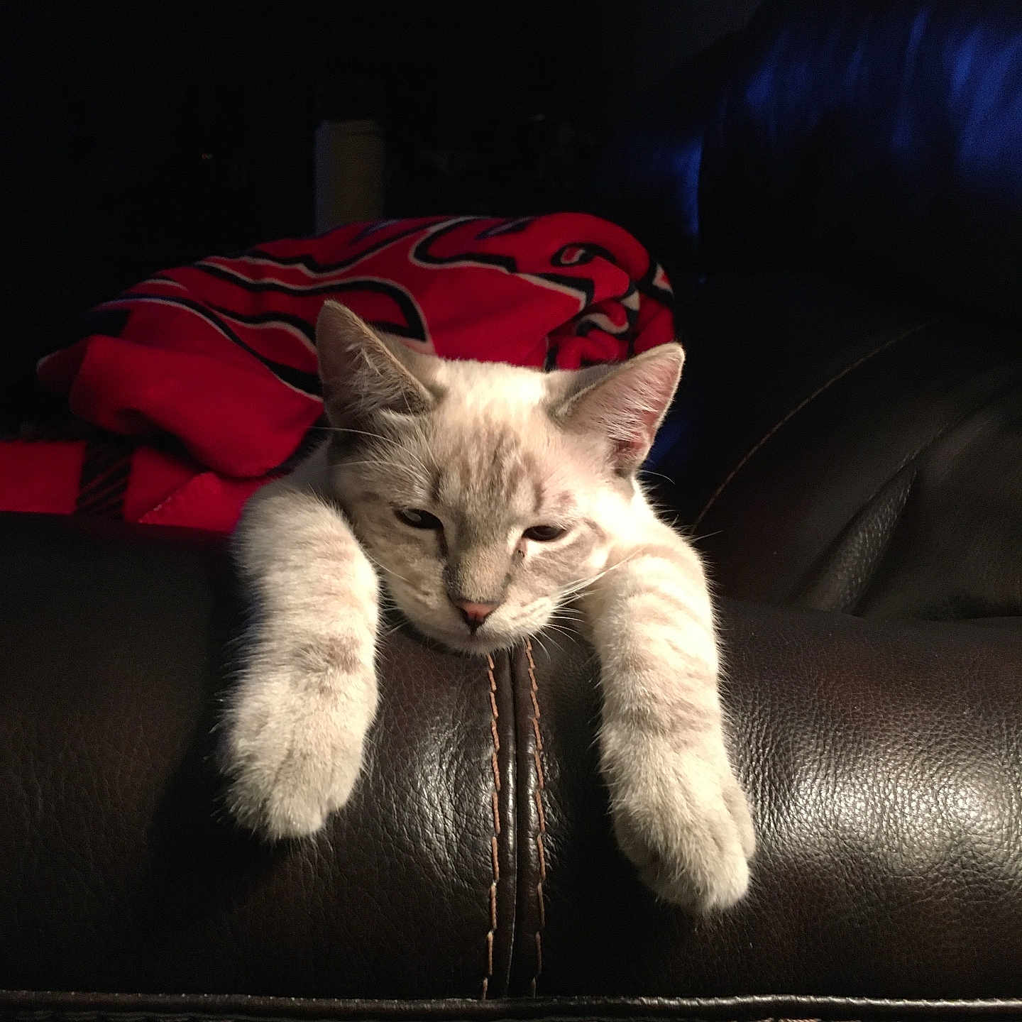 Sawyer Huckleberry