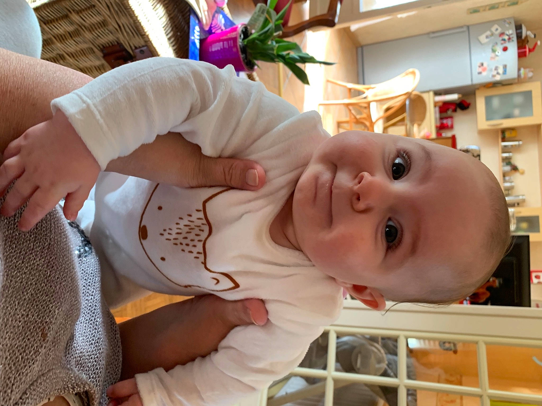 Mia participe au concours pour gagner de l'argent avec cette photo : baby, baby_products, baby_safety, baby_toddler_clothing, child, finger, fun, gesture, happy, houseplant, pattern, person, plant, room, shelf, sleeve, smile, thumb, toddler, wood