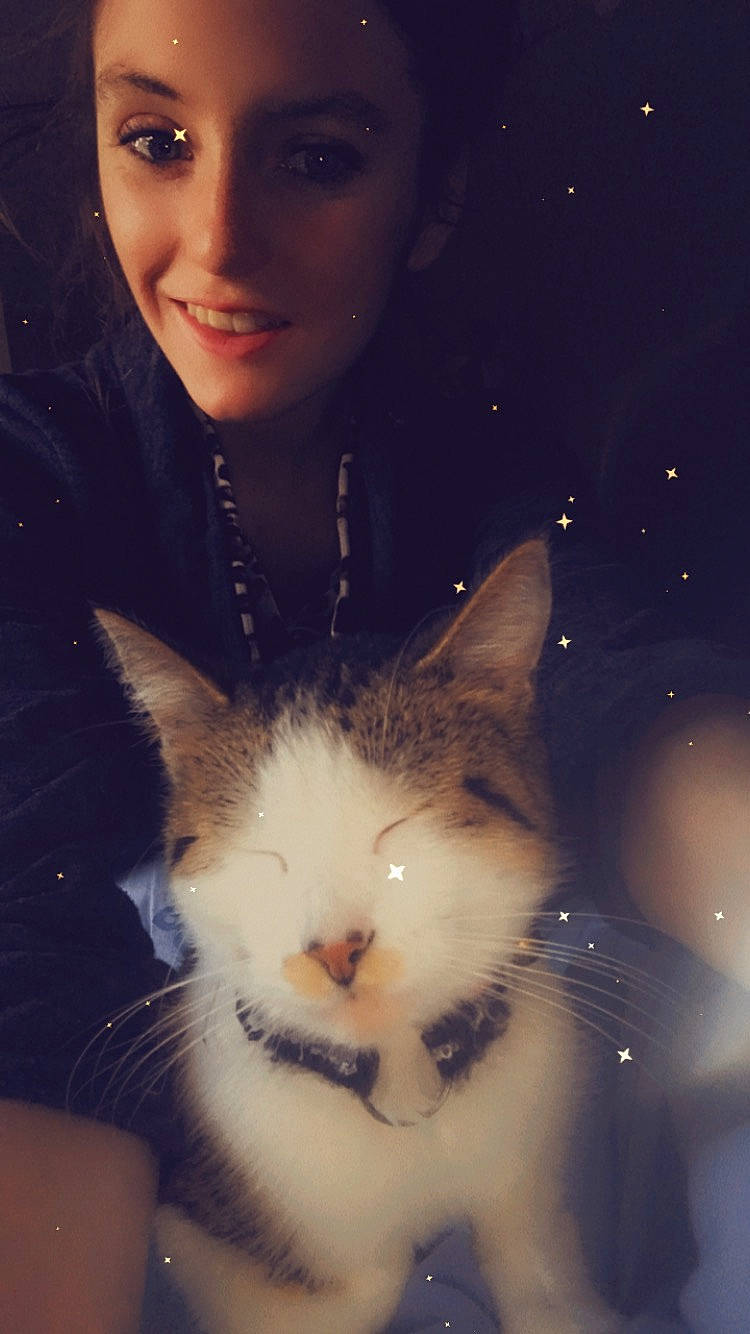 Clochette a rejoint le concours — aidez-le/la à gagner de superbes lots ! beauty, carnivore, cat, eye, eyebrow, eyelash, felidae, flash_photography, happy, head, iris, jaw, lip, nose, organ, skin, small_to_medium_sized_cats, snout, whiskers, white