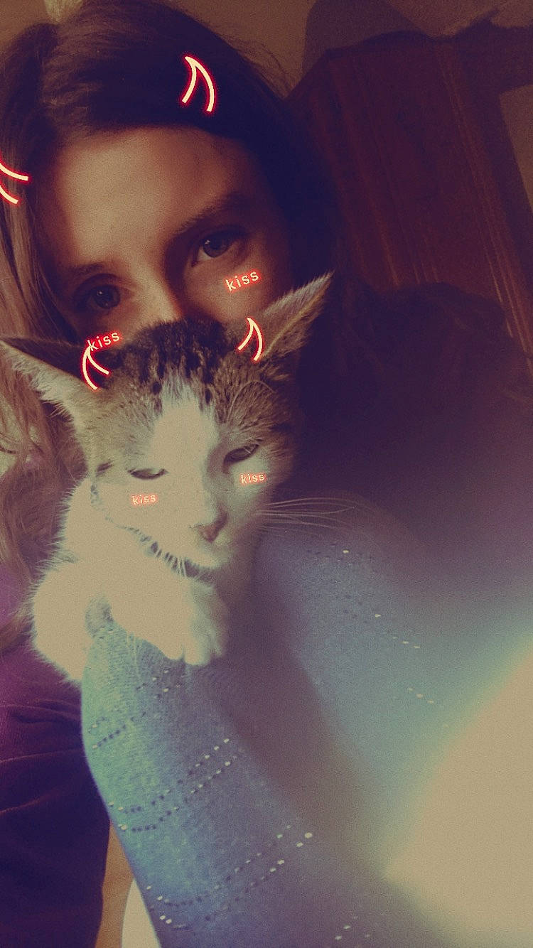 Clochette a rejoint le concours — aidez-le/la à gagner de superbes lots ! carnivore, cat, ear, eyelash, felidae, flash_photography, gesture, hair, hand, happy, head, iris, jaw, lip, long_hair, mouth, nose, selfie, small_to_medium_sized_cats, whiskers