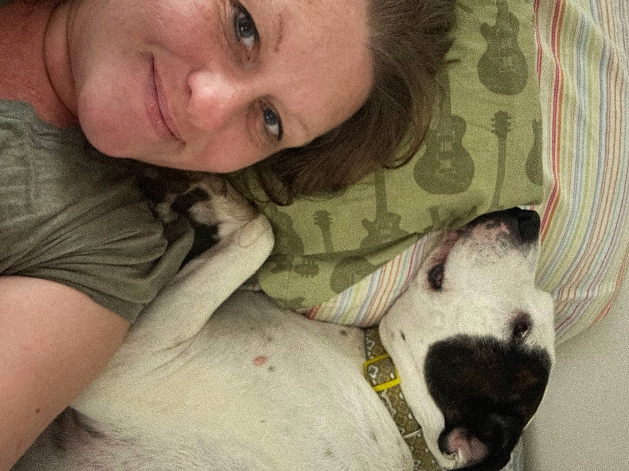 Kahlua joined the competition — help win amazing prizes! carnivore, chest, comfort, companion_dog, dog_breed, ear, eye, eyelash, fawn, felidae, gesture, happy, head, jaw, organ, skin, small_to_medium_sized_cats, smile, snout, whiskers