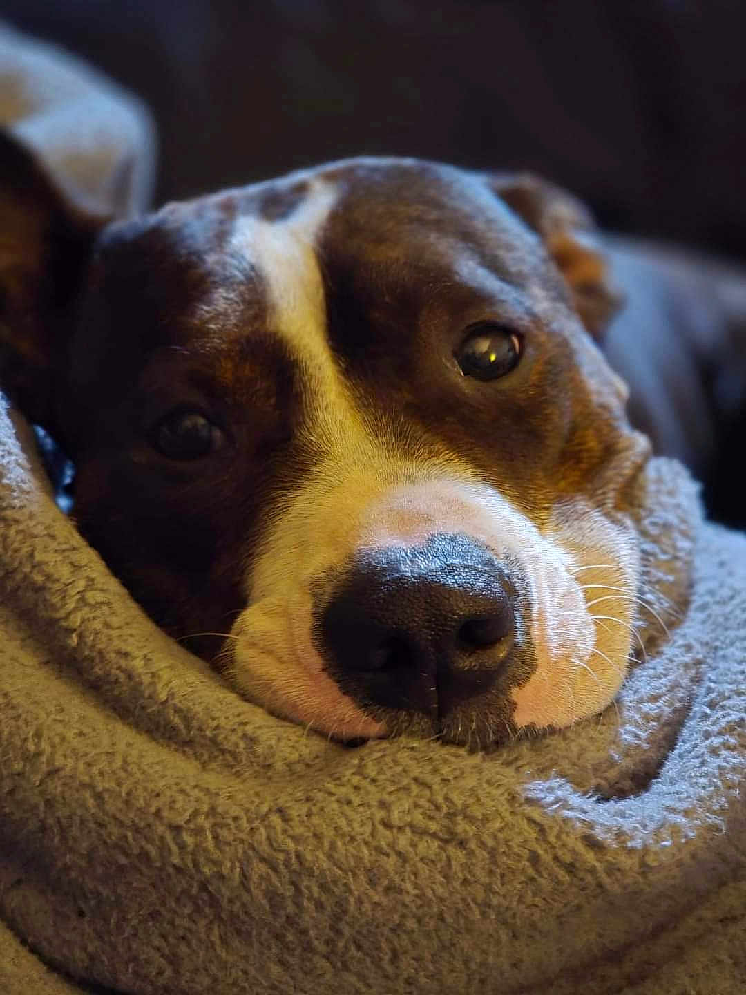 Baylee