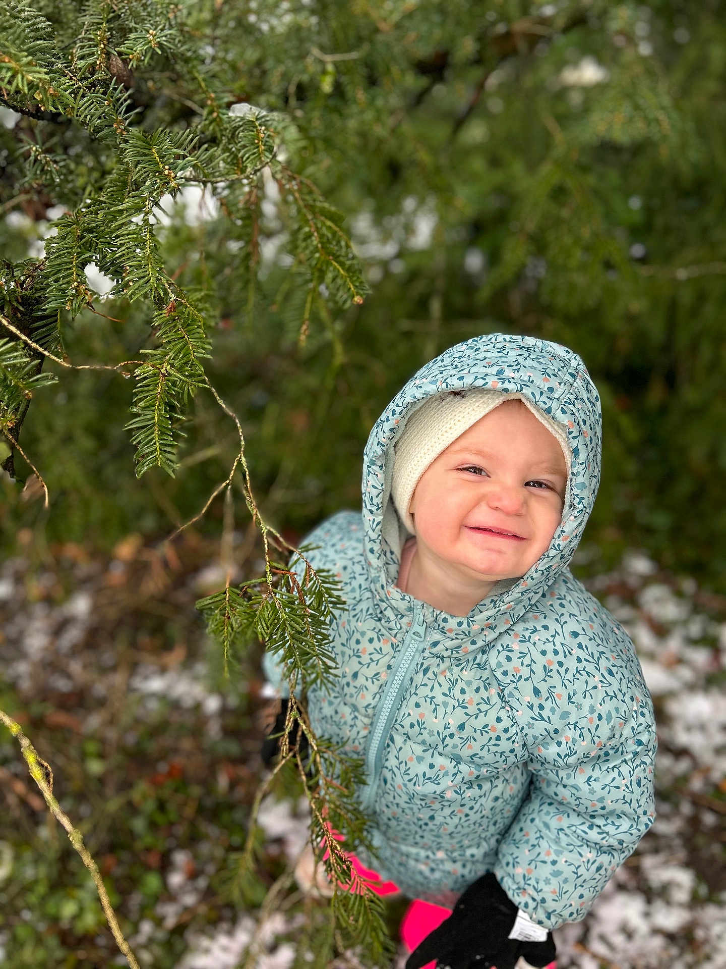 Ella a rejoint le concours — aidez-le/la à gagner de superbes lots ! toddler, child, smile, winter_clothing, jacket, hat, gloves, outdoor, nature, pine_tree, snow, greenery, playful, forest, cold_weather, happy, young_child, exploration, seasonal, portrait