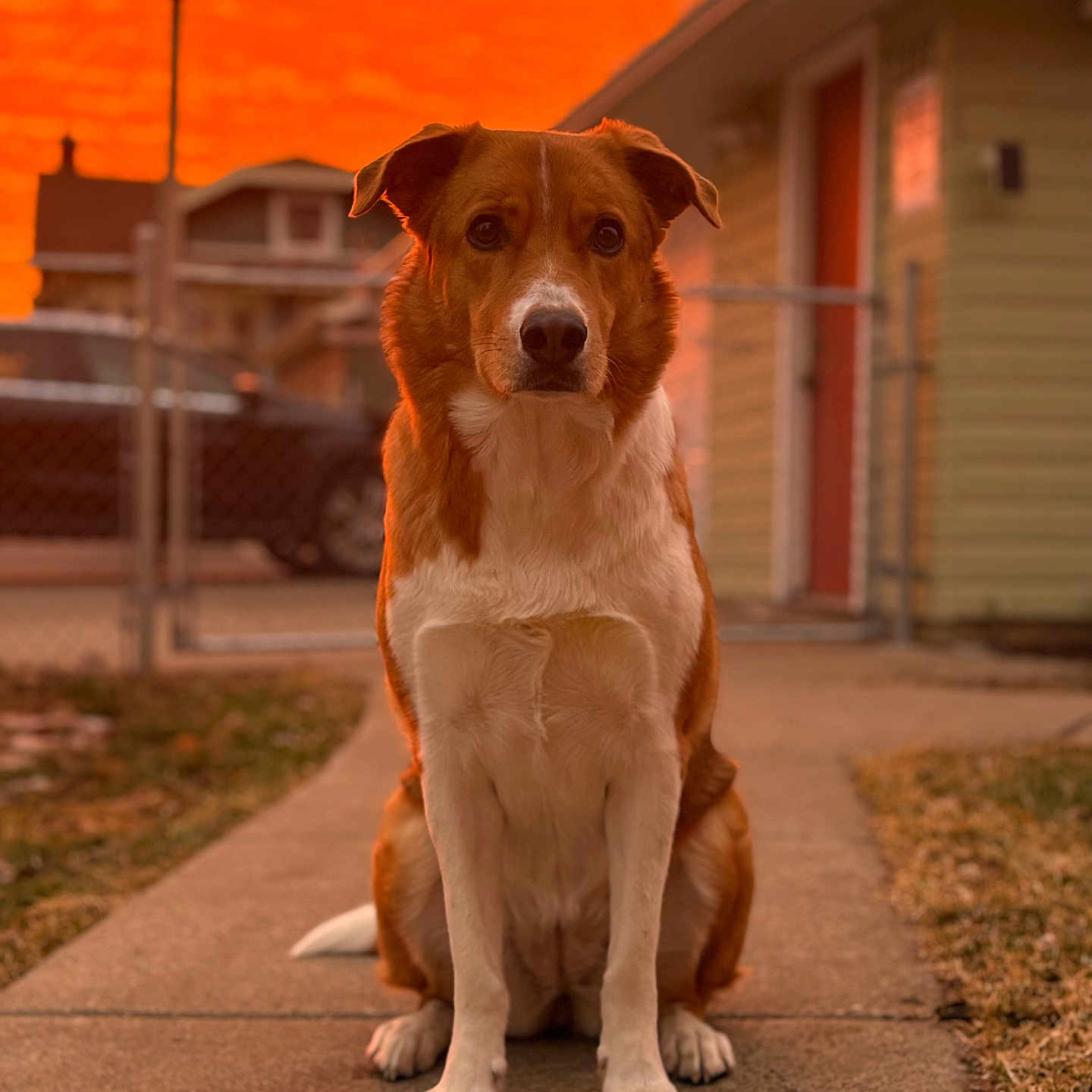 Nora