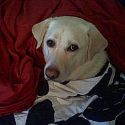 Miller joined the competition — help win amazing prizes!