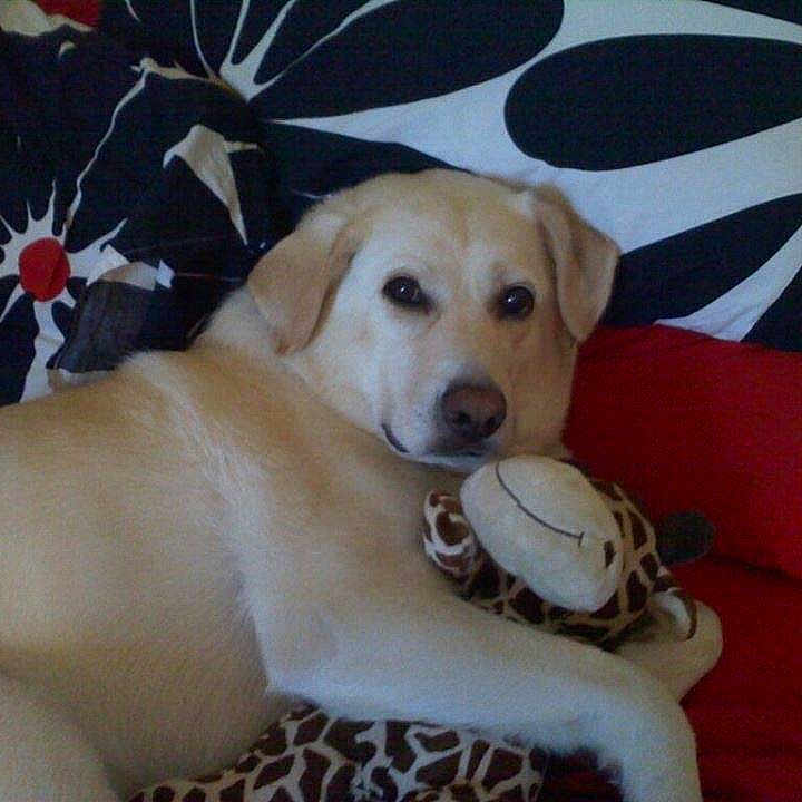 Miller is registered to the contest to win money with this photo: