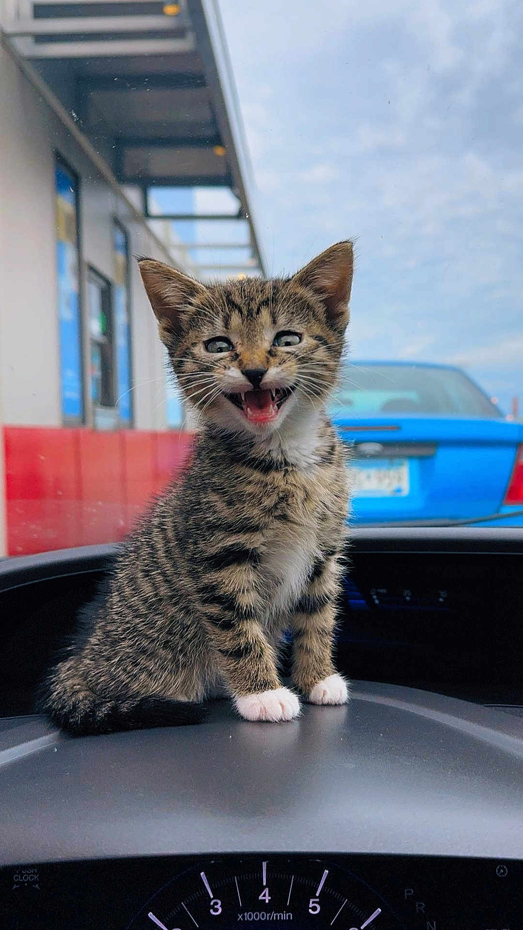 Nala