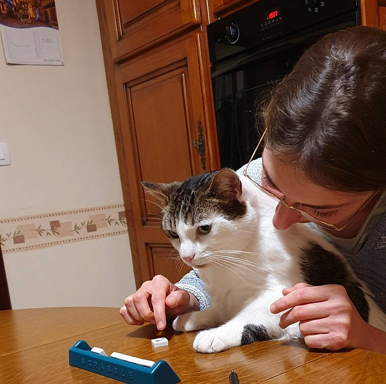 Joe a rejoint le concours — aidez-le/la à gagner de superbes lots ! cabinetry, carnivore, cat, domestic_short_haired_cat, door, felidae, flooring, gesture, hardwood, lap, nail, office_supplies, room, small_to_medium_sized_cats, table, television, varnish, whiskers, wood, wood_stain