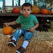 Vani joined the competition — help win amazing prizes! autumn, blue_sky, child, curious, daylight, fall, farm, gourds, green_shirt, harvest, hay, jeans, nature, outdoor, pumpkin, rustic, seasonal, shoes, sitting, toddler